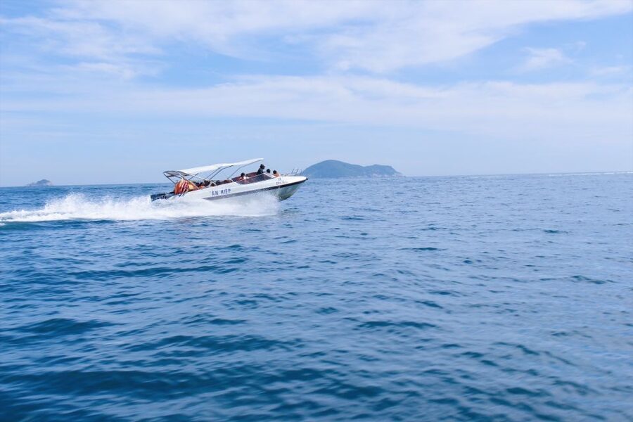 Da Nang/Hoi An: Cham Islands Snorkeling by High-Speed Boat - Snorkeling among fish and coral