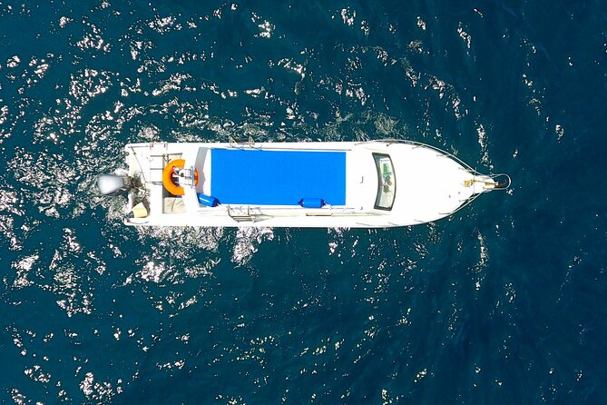 Daily Trip Highlight Komodo Archipelago by Speed Boat - Taka Makassar and Manta Point