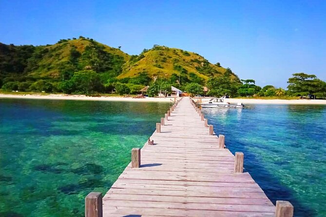 Daily Trip Highlight Komodo Archipelago by Speed Boat - Who will get the most from this speedboat day