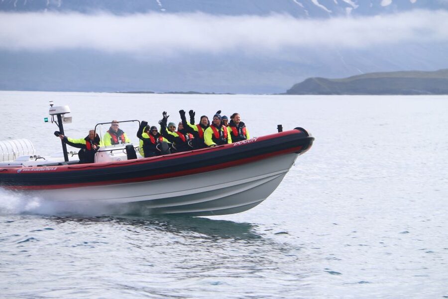 Dalvík: Whale Watching Speedboat Tour - Key points at a glance