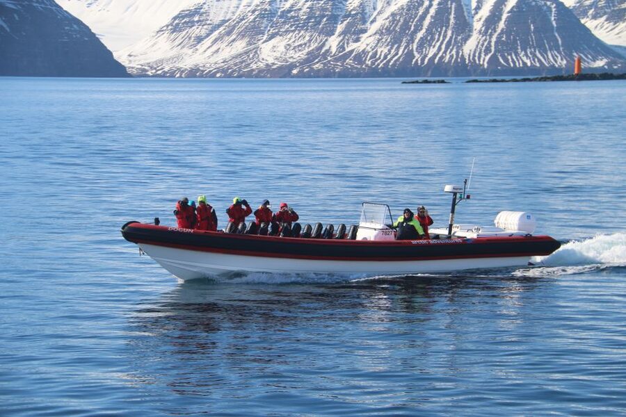 Dalvík: Whale Watching Speedboat Tour - What the RIB ride feels like