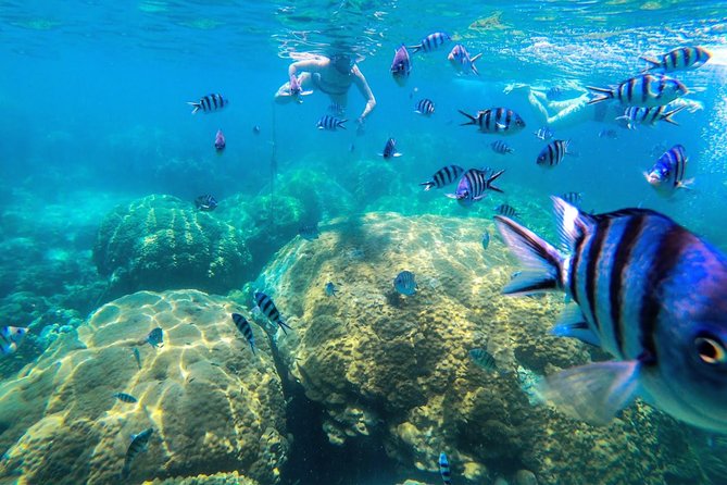 Day Tour to Angthong Marine Park by Insea Speedboat from Koh Samui - Koh Wao offers the first water stop
