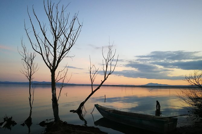 Day Trip: Speedboat Tour Of Lake Trasimeno With Lunch + Assisi Private Tour - Three hours by private motorboat
