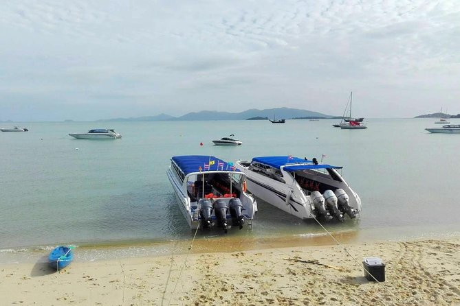 Day Trip to Koh Nangyuan & Koh Tao by Insea Speedboat from Koh Samui - Koh Tao snorkeling at Buddha Point