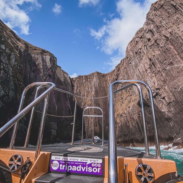 Dingle: Sea Safari by RIB Boat - Wildlife watching around Dingle Bay