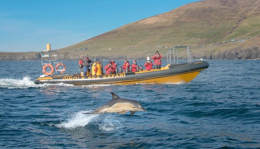 Dingle: Sea Safari by RIB Boat - Cliffs, caves, and the West Kerry coast