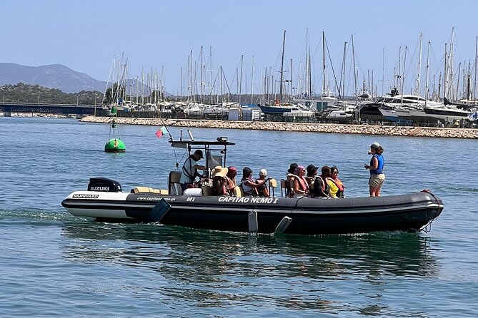 Dolphin Expedition Shared Speedboat tour with Biologist guide - From Parchal to the mouth of the Arade River