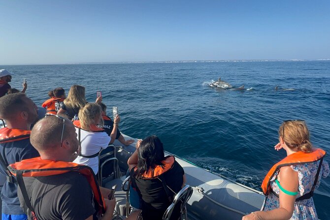 Dolphin Expedition Shared Speedboat tour with Biologist guide - The ruined monastery and the 1755 earthquake
