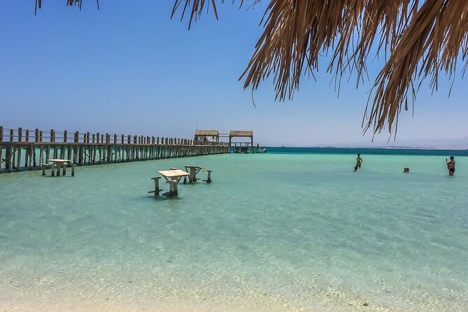 Dolphin House By Private Speedboat With Giftun Island _ Hurghada - Snorkeling over Red Sea coral