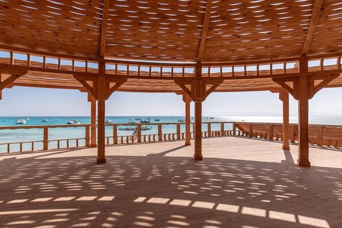 Dolphin House By Private Speedboat With Giftun Island _ Hurghada - Who will enjoy this trip most