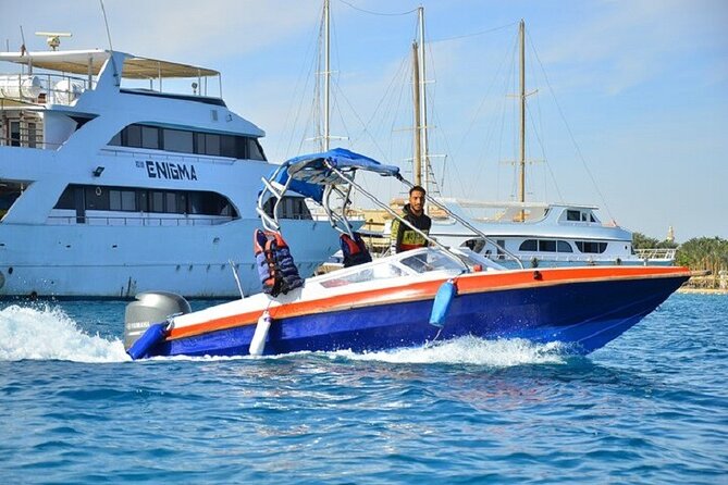 Dolphin Snorkel With private Speed Boat & Water Sports - Hurghada - Meeting dolphins in the open sea