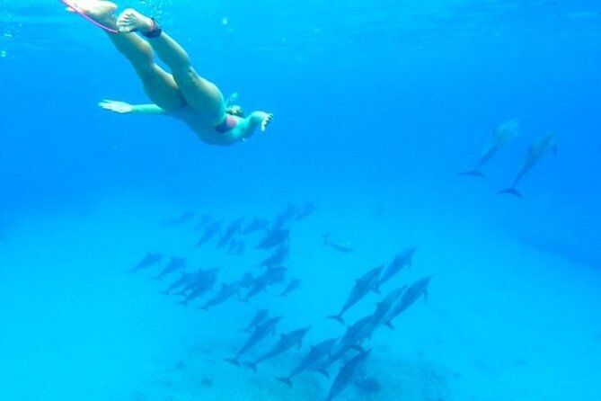 Dolphin Snorkel With private Speed Boat & Water Sports - Hurghada - Water sports after the snorkeling