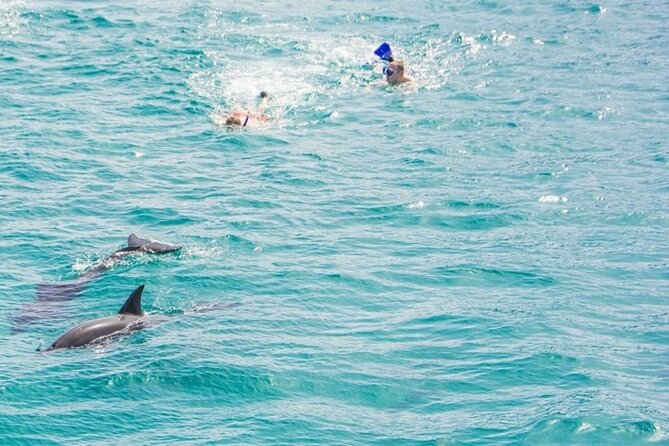 Dolphin Snorkel With private Speed Boat & Water Sports - Hurghada - The crew and level of personal help