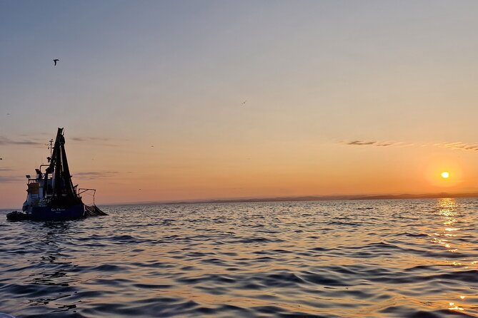 Dolphin Sunrise Adventure with Speedboat - Sunrise views from the Adriatic