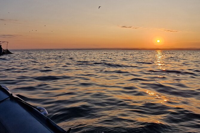 Dolphin Sunrise Adventure with Speedboat - What the price of $42.17 includes in value