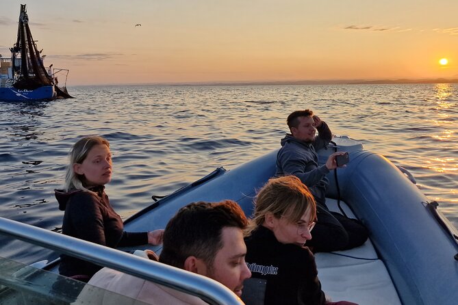 Dolphin Sunrise Adventure with Speedboat - Who will enjoy this speedboat trip most