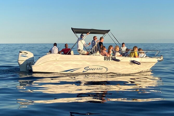 Dolphin Sunrise Adventure with Speedboat - Weather, cancellation, and planning details