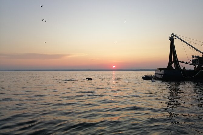 Dolphin Sunrise Adventure with Speedboat - Following the morning fishing activity