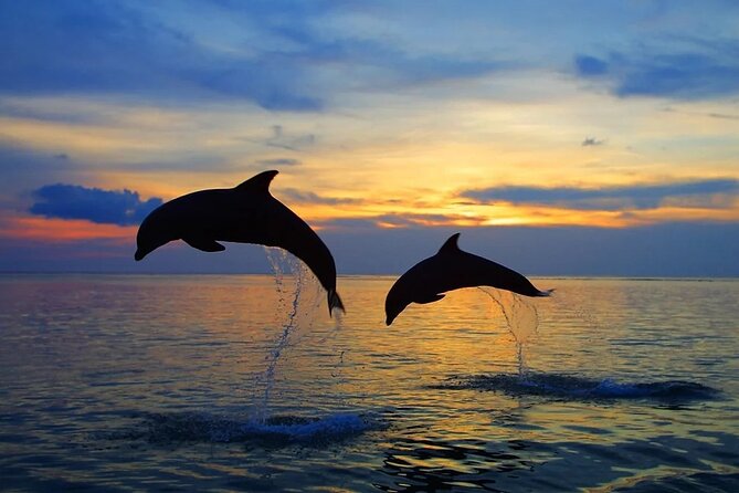 Dolphin Sunset Adventure with Speedboat - The speedboat ride, waves, and wet-weather reality