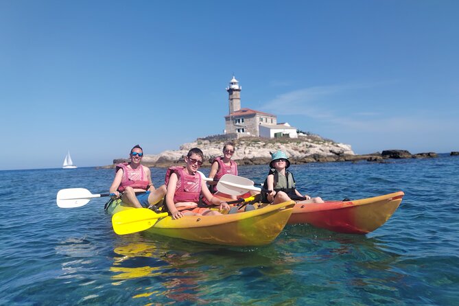 Dolphin Sunset Adventure with Speedboat - Dolphin watching with a respectful skipper