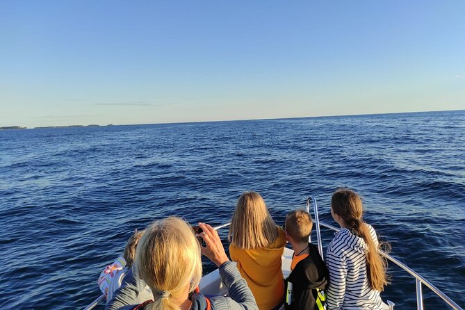 Dolphin Sunset Adventure with Speedboat - Is $30.25 good value?