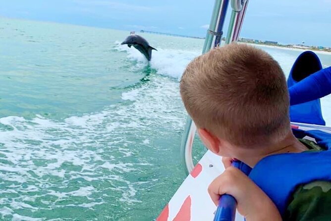 Dolphin-Watching Speedboat Cruise in Destin Harbor - A 14-person boat makes the difference