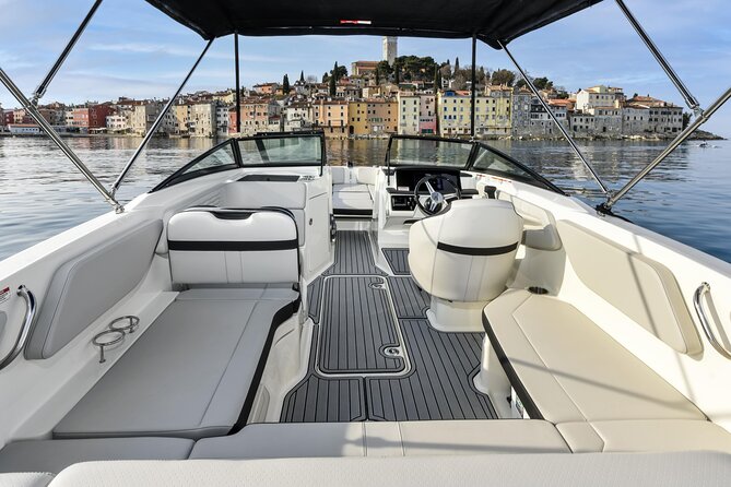 Dolphin Watching Sunset Speedboat Tour with Drinks in Rovinj - Watching dolphins without crowding them