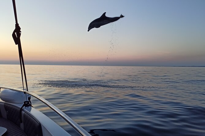 Dolphin Watching Sunset Speedboat Tour with Drinks in Rovinj - Returning with Rovinj glowing from the sea