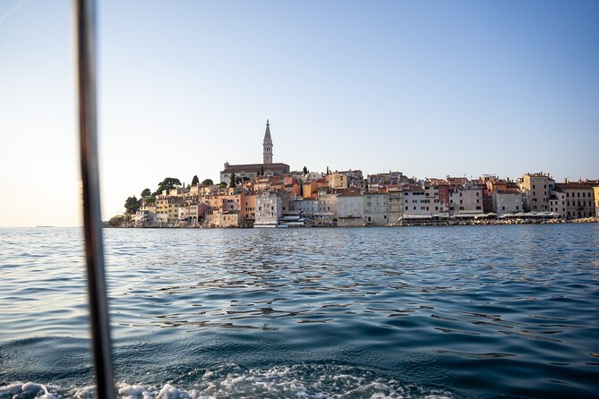 Dolphin Watching Sunset Speedboat Tour with Drinks in Rovinj - Is $75.62 a fair price?