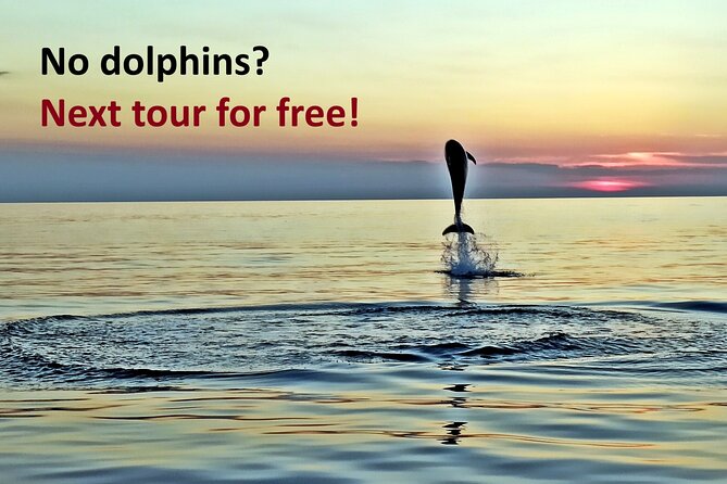 Dolphin Watching Sunset Speedboat Tour with Drinks in Rovinj - Speeding along the Adriatic before the quiet search