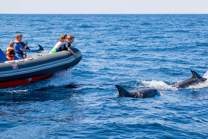 Dolphins & Caves on Rib Boat - Around Benagil’s caves and coastline