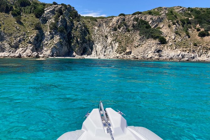 Dolphins Rib boat (up 6 people) Private - Figarolo and Cala Moresca in the water
