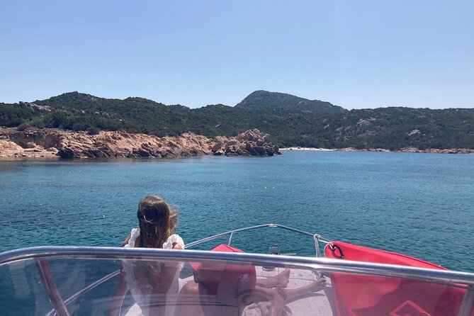 Dolphins Rib boat (up 6 people) Private - The skipper can shape the day