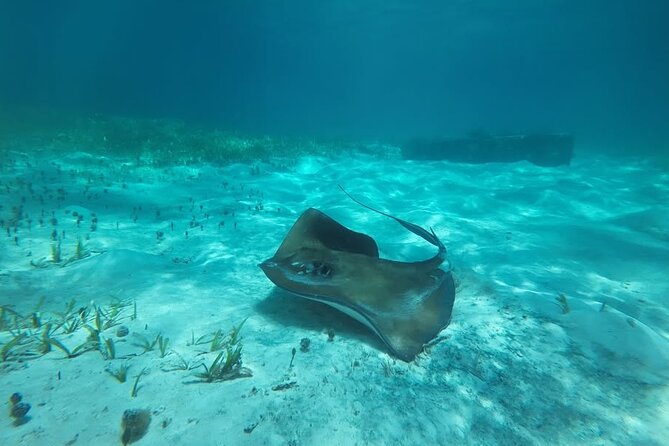 Drive an Speedboat at full speed at Cancun's Lagoon & Snorkeling - A closer look at the Cancun setting