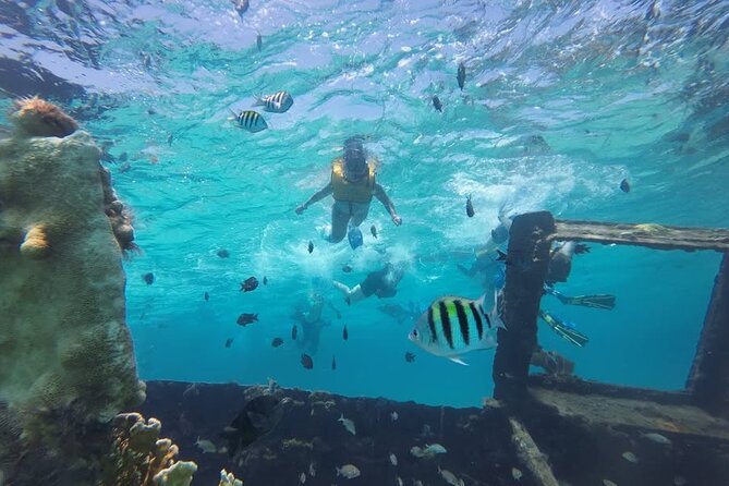 Drive an Speedboat at full speed at Cancun's Lagoon & Snorkeling - Is $59 a fair price?