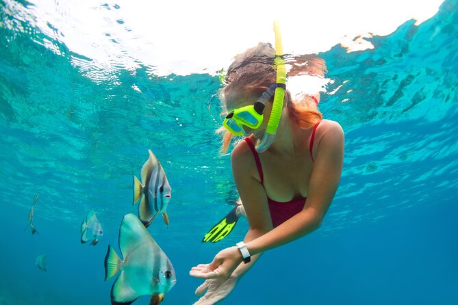 Drive an Speedboat + Mayan Ritual + Food Tasting and More! - Snorkeling over fish and coral