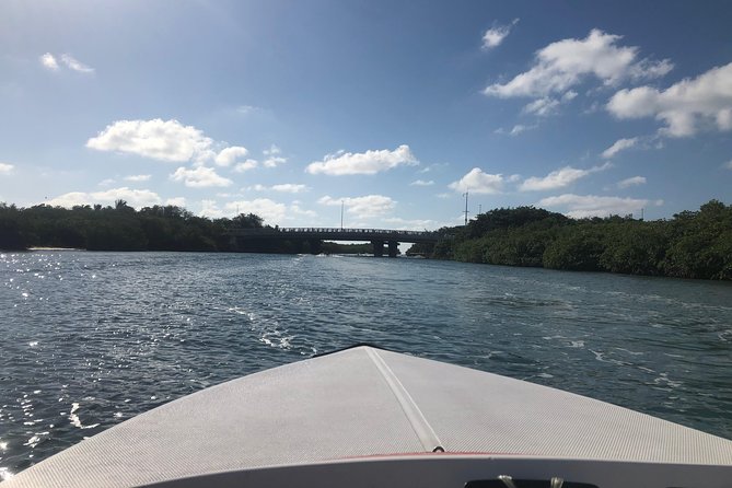 Drive the best speedboat in Cancun and feel the adrenaline. - Weather is the important question