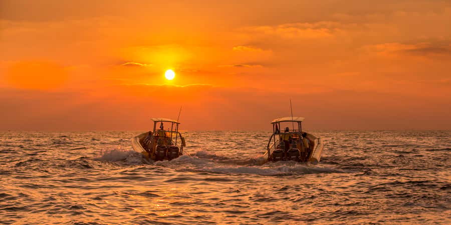 Dubai Marina: Guided Sightseeing Tour by Speedboat - Palm Jumeirah from the sea