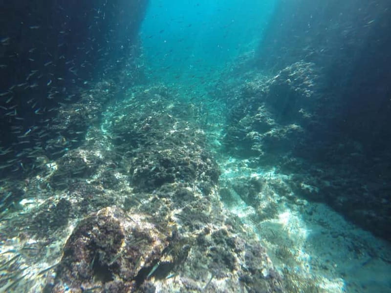 Dubrovnik: Blue Cave, Green Cave & Sunj Beach Speedboat Tour - Should you book the Blue Cave and Sunj Beach tour?