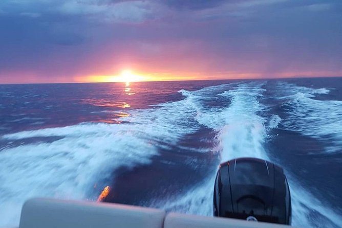 Dubrovnik Speedboat Quicksilver 675 Private Tours - Mljet requires a closer look at the final price