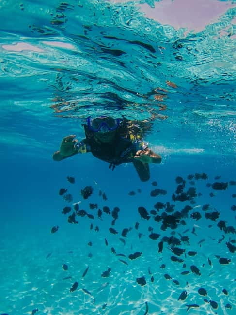 Durres & Tirana: Speed Boat Trip to Sazan, Karaburun & Cave - The day in one glance