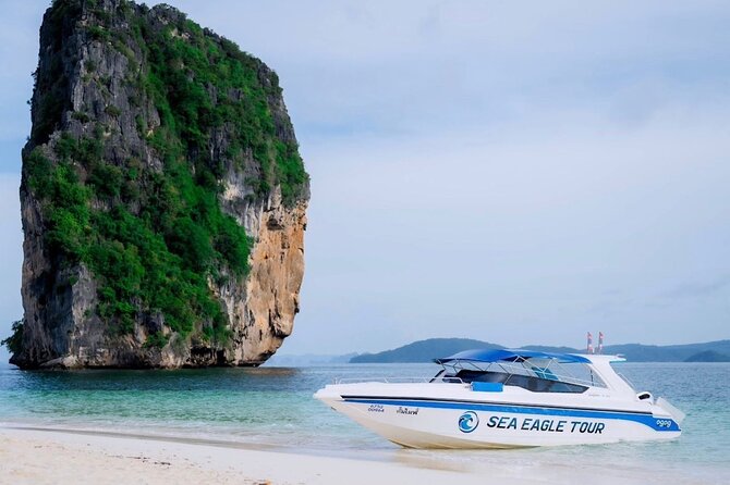 Early Bird Phi Phi 4 Islands by Speedboat 2 Trips in 1 Day - Chicken Island, Thale Waek, and Tup Island