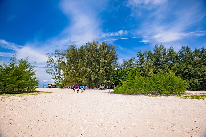 Early Bird Phi Phi Islands Tour From Phi Phi by Speedboat - Shark Point and the best chance for serious snorkeling
