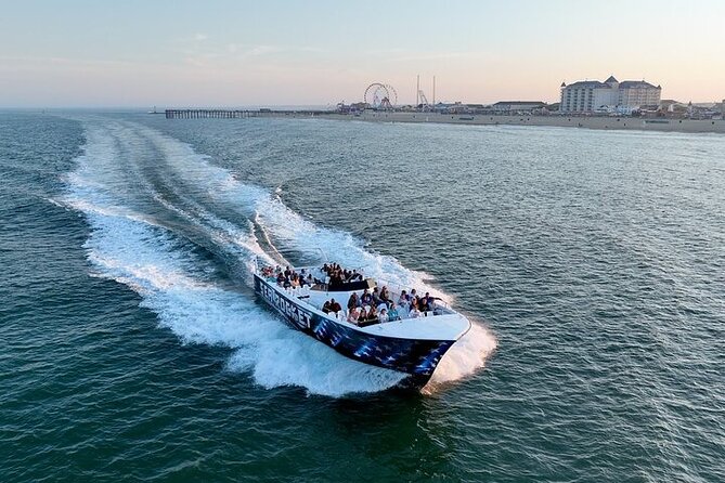 EARLY BIRD SPECIAL: Speed Boat & Dolphin Cruise in Ocean City, MD - Starting at Sea Rocket in downtown Ocean City