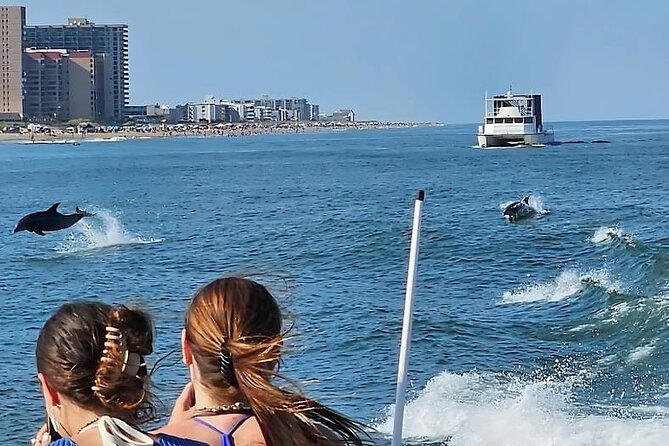 EARLY BIRD SPECIAL: Speed Boat & Dolphin Cruise in Ocean City, MD - Comfort, spray, and what to bring
