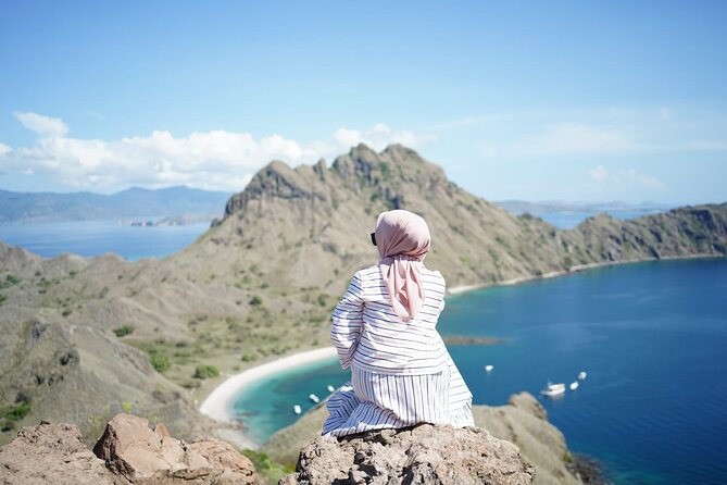 Early Bird Speedboat Group Tour : Explore Komodo Ahead of Crowds - The afternoon moves from sandbars to sea life