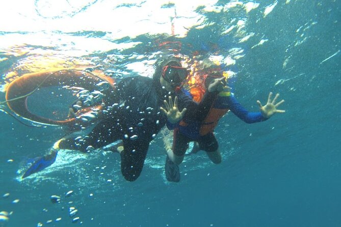 Early Bird Speedboat Group Tour : Explore Komodo Ahead of Crowds - What the $129 price really covers