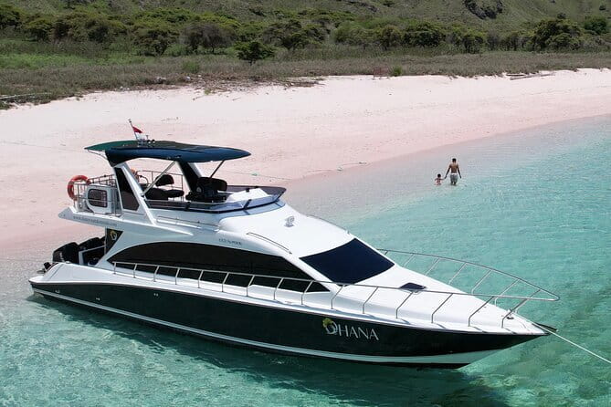 Early Morning Private Komodo Speedboat Tour - Pink Beach: color, water, and a slower pause