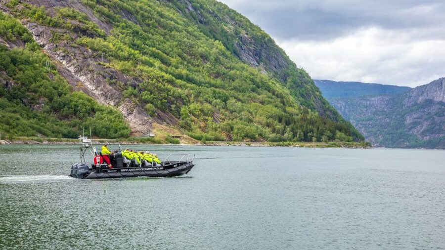 Eidfjord: 1-Hour Fjord RIB Tour - Key points at a glance