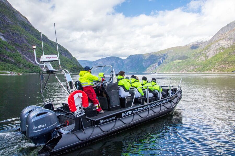 Eidfjord: 1-Hour Fjord RIB Tour - Waterfalls, goats, seals, and birds